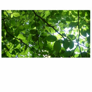 69式互添高潮视频
